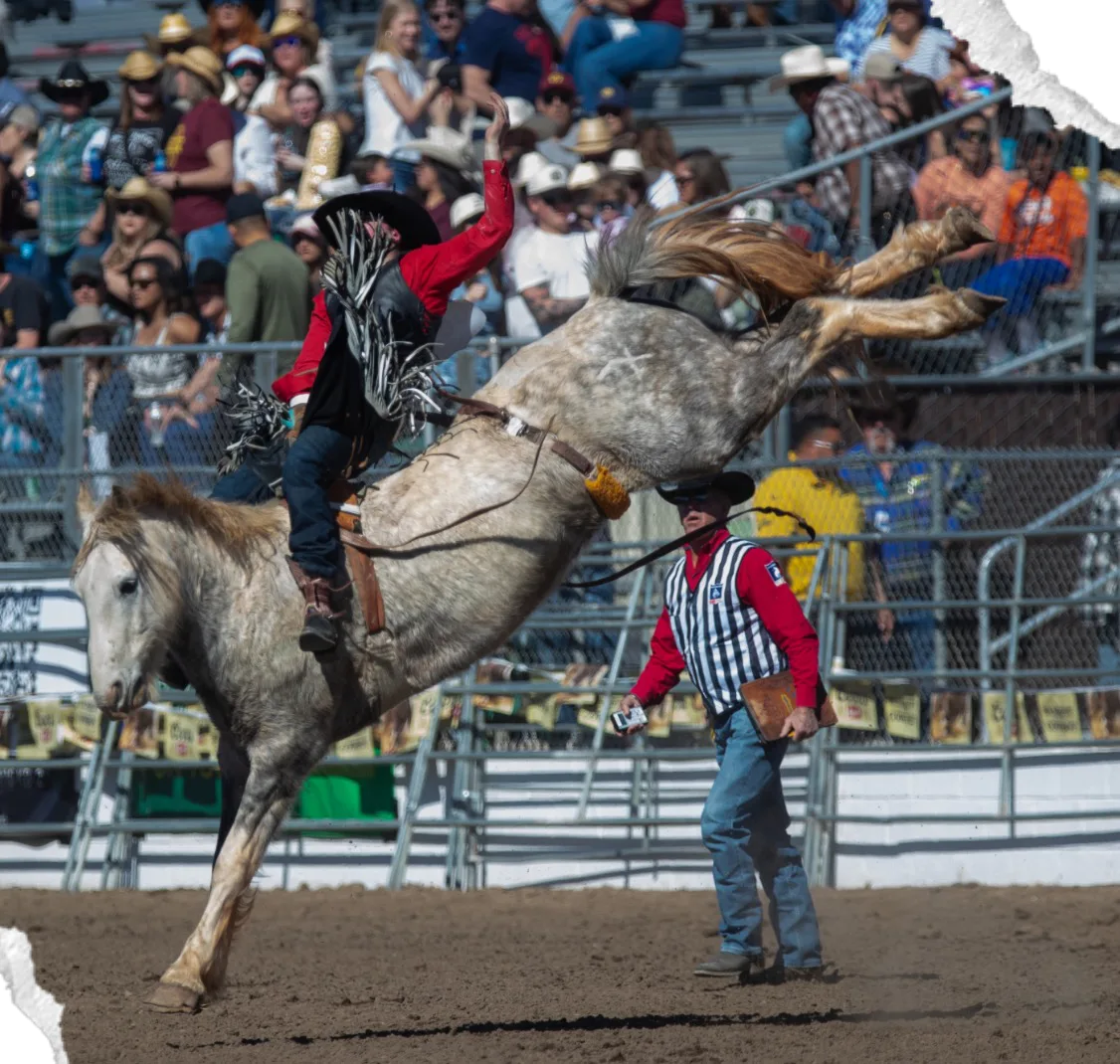 Bucking horse with a bareback rider