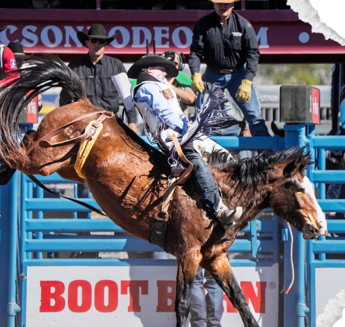 Bareback rider coming out of the chute