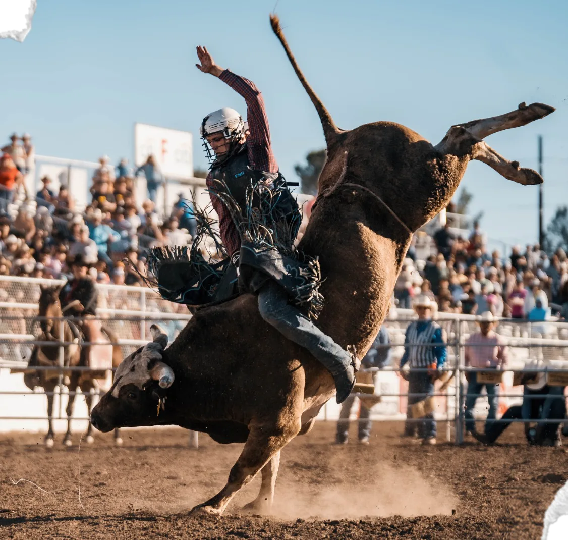 A bull rider holds on as a brown bull kicks its hind legs into the air.