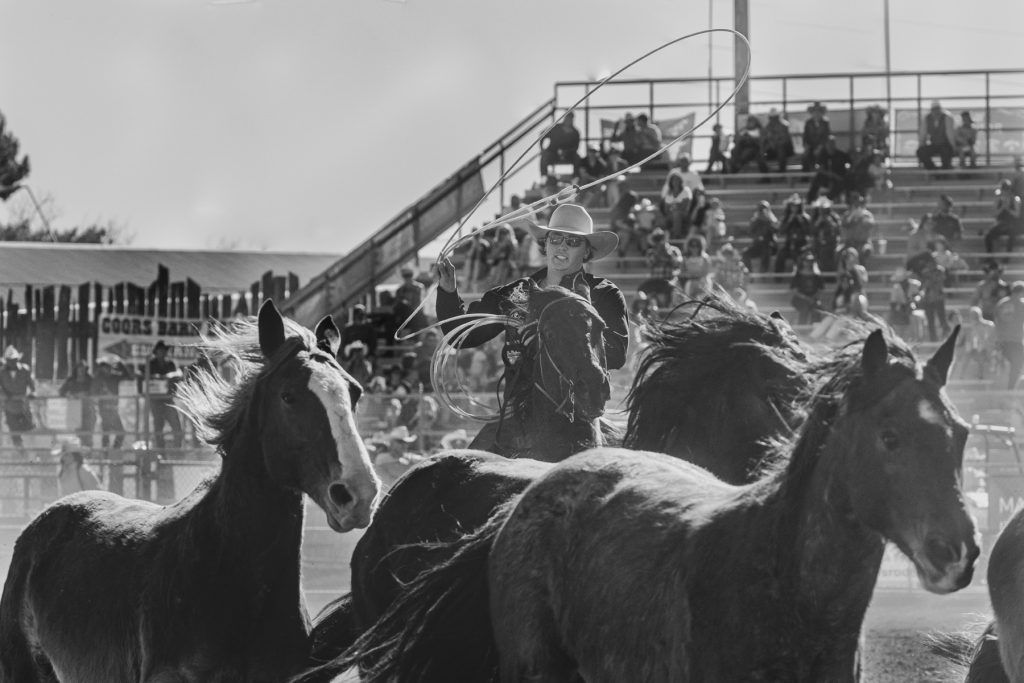 Rodeo arena action