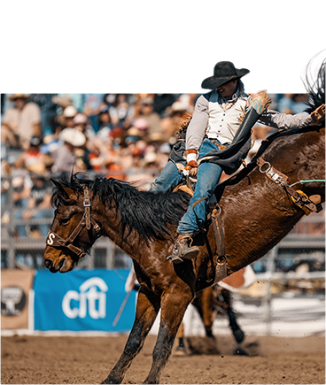 Bareback rider on a bucking horse