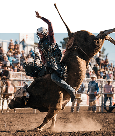Bull rider