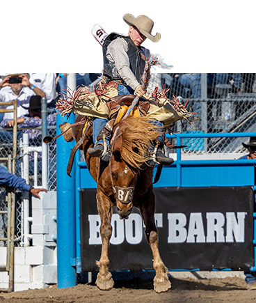 Saddle bronc rider