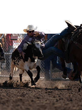 Steer wrestler