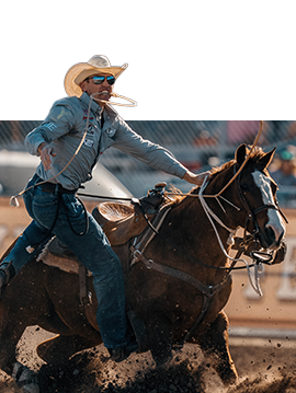Tie-down roper