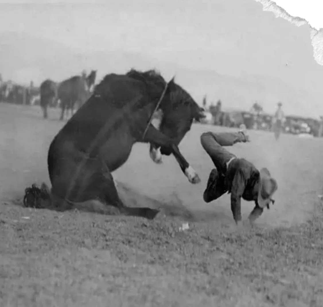 Cowboy riding at the Tucson Rodeo