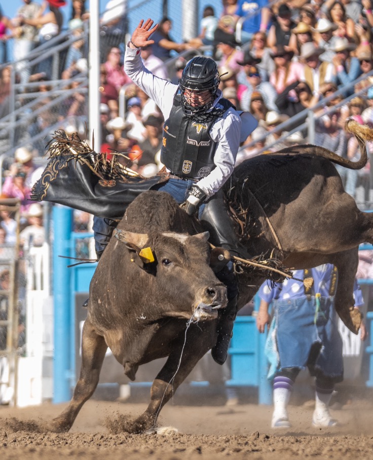 Bull rider