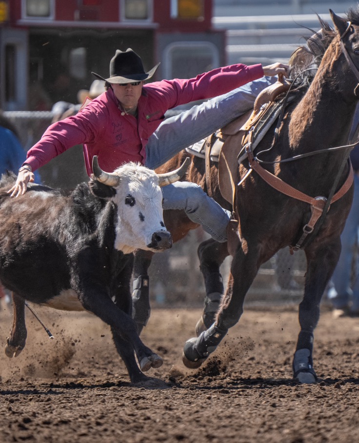 Steer wrestler