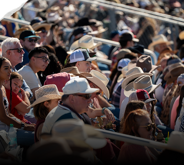 Crowd in the grandstands