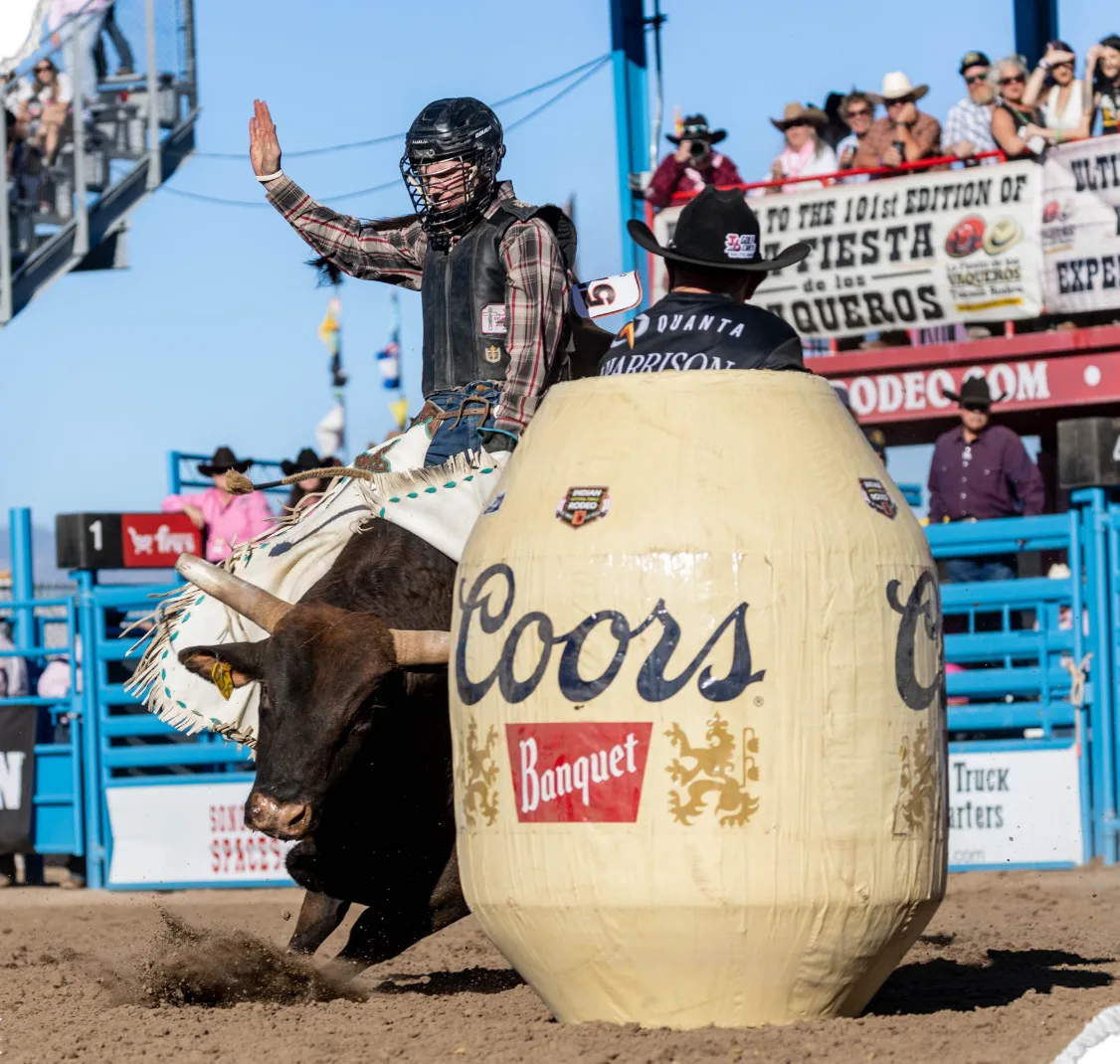 A bull rider raises his free hand as the bull bucks past the rodeo clown's Coors Banquet barrel.
