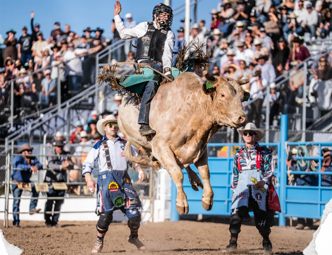 A bull rider lifts his free hand as a white bull bucks, with two bullfighters close by.