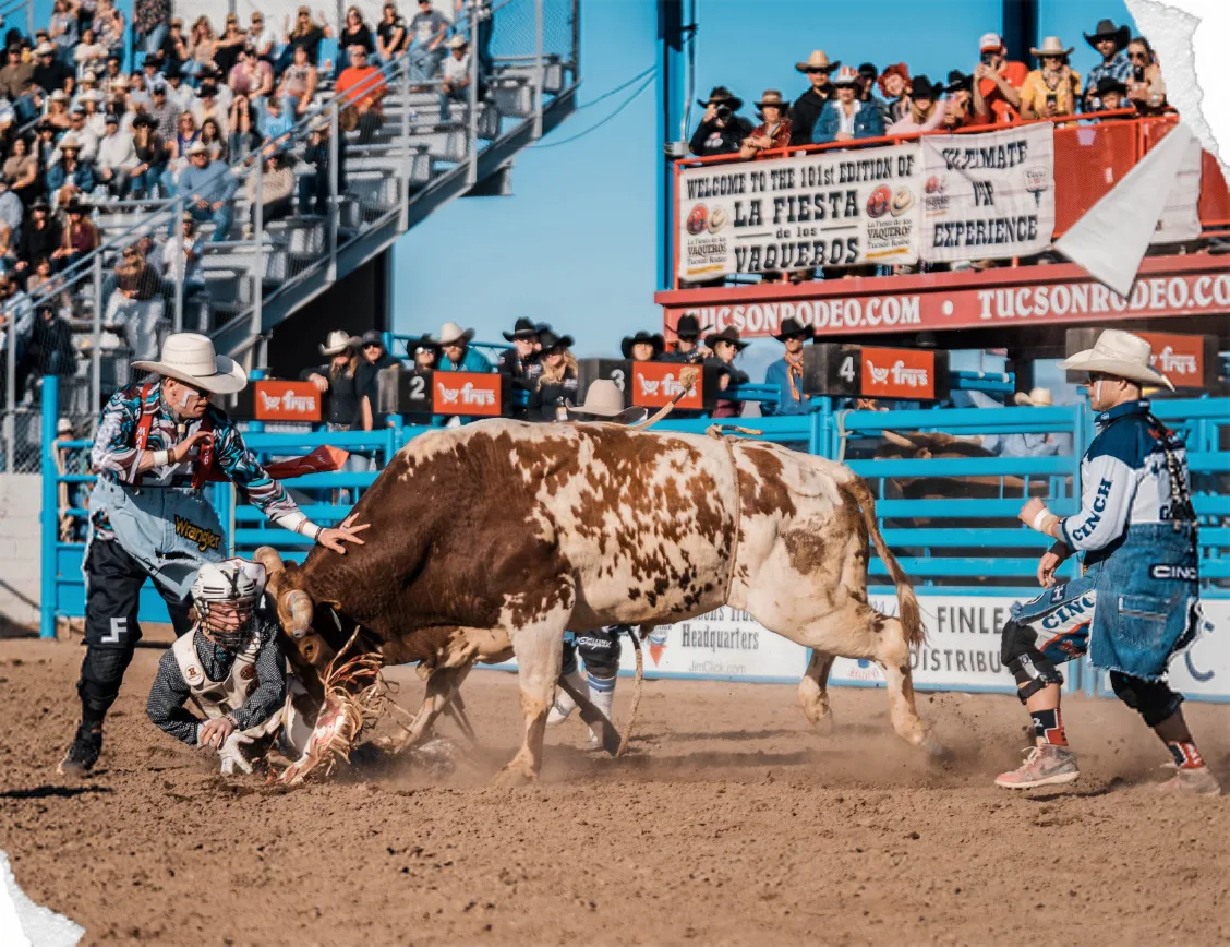 Two bullfighters work beside a spotted bull as its rider hits the dirt.