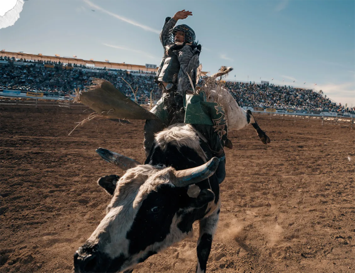 Bull rider at the Tucson Rodeo