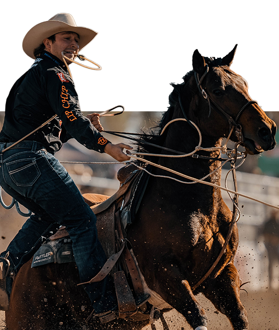 A tie-down roper, piggin' string in his teeth, rides out after a calf.
